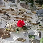 Au Nid De Caroline 4 Etoiles Ferienhaus Arette