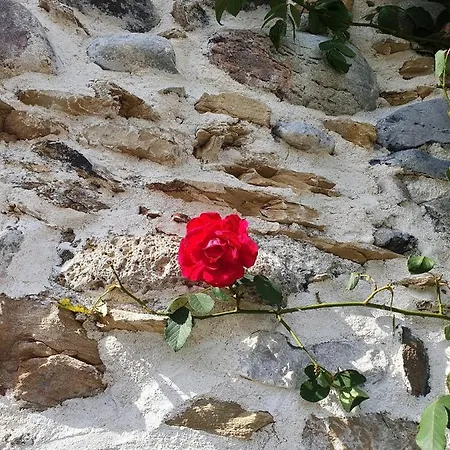 Au Nid De Caroline 4 Etoiles Tatil Evi Arette