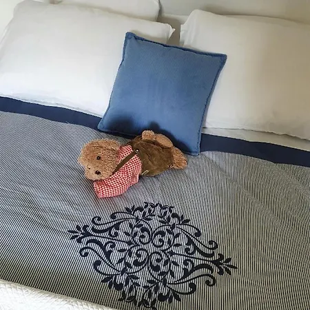 Au Nid De Caroline 4 Etoiles * Арет