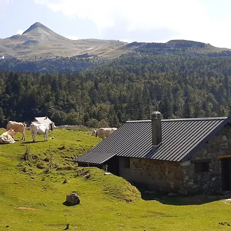 Au Nid De Caroline 4 Etoiles Ferienhaus