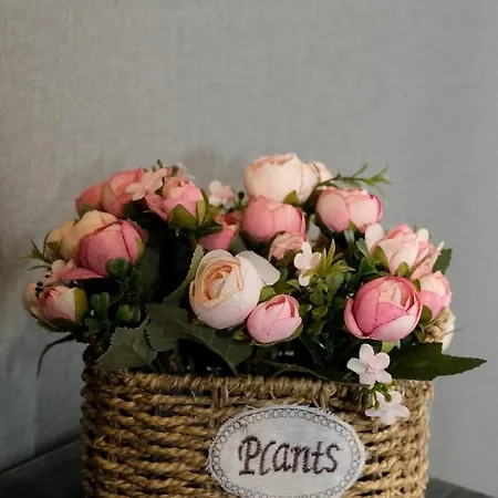 Au Nid De Caroline 4 Etoiles Arette