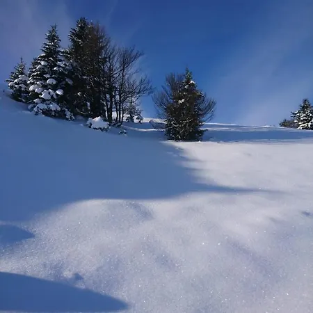 Tatil Evi Au Nid De Caroline 4 Etoiles Arette