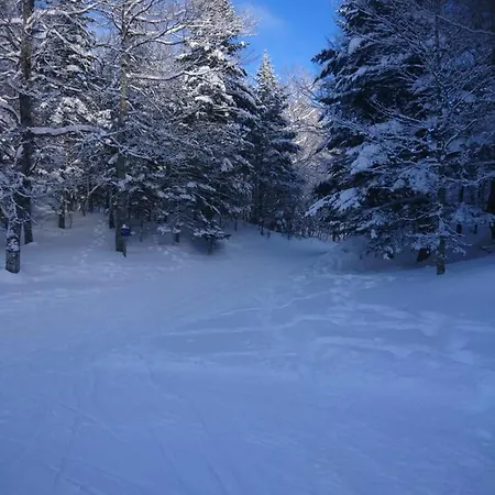 Au Nid De Caroline 4 Etoiles Дом отдыха *