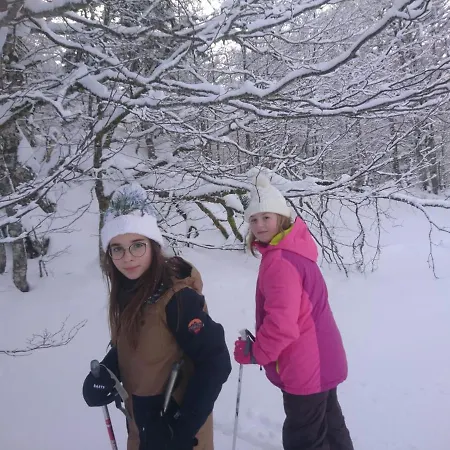 Au Nid De Caroline 4 Etoiles *