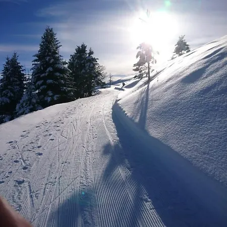 Au Nid De Caroline 4 Etoiles Tatil Evi