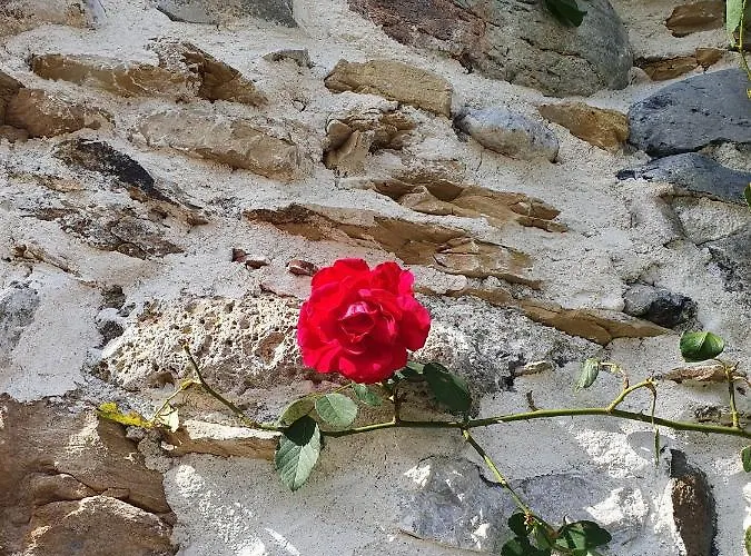 Au Nid De Caroline 4 Etoiles Feriehus Arette