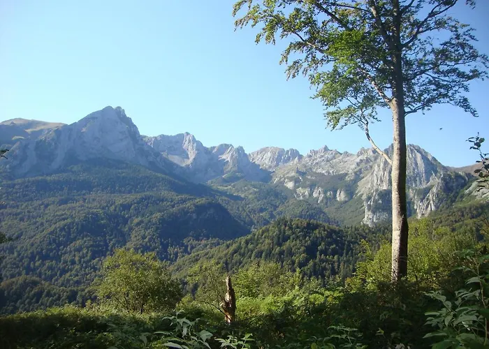 Au Nid De Caroline 4 Etoiles Feriehus