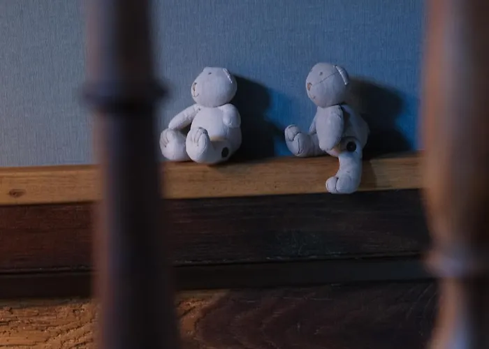 Feriehus Au Nid De Caroline 4 Etoiles