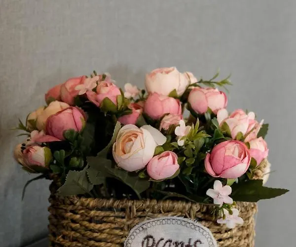 Au Nid De Caroline 4 Etoiles Arette