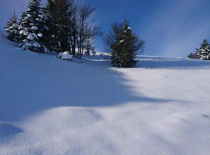 Casa de Férias Au Nid De Caroline 4 Etoiles Arette