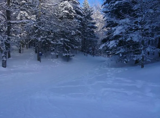 Au Nid De Caroline 4 Etoiles Feriehus *