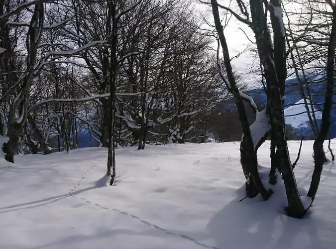 Au Nid De Caroline 4 Etoiles