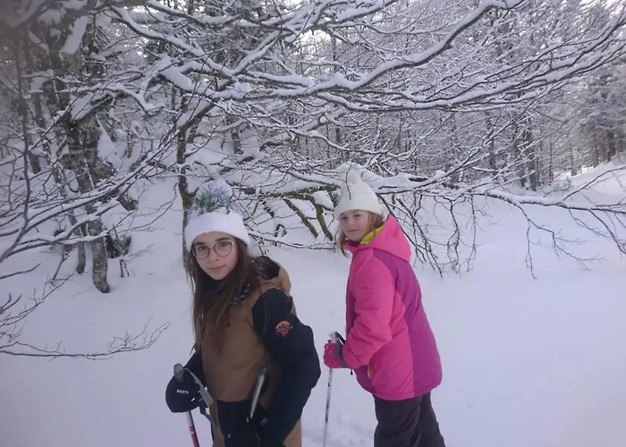 Au Nid De Caroline 4 Etoiles *