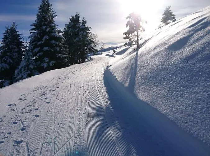 Au Nid De Caroline 4 Etoiles Casa de Férias